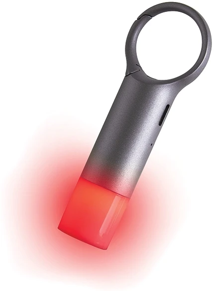 Lexon Nomaday Flash LED Keychain pilka/gun LL137X