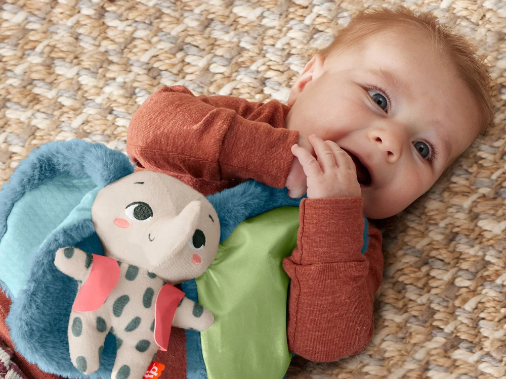 Mattel Fisher Price sensorinis dramblys pliušinis žaislas su didelėmis ausimis ZA6044