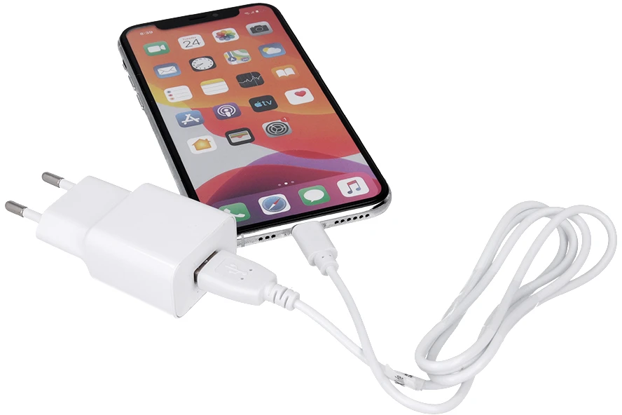 Įkroviklis Maxlife MXTC-01 USB + microUSB (1A) baltas