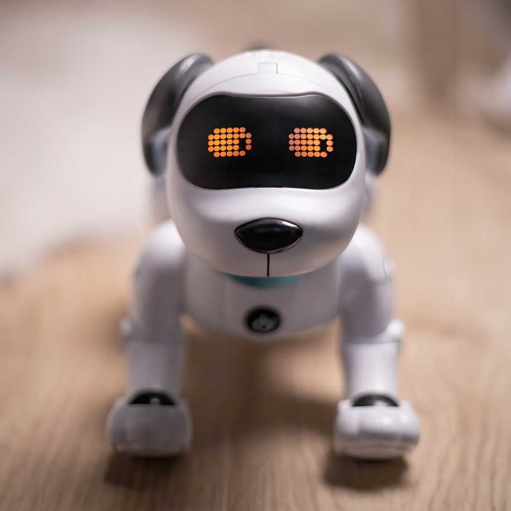 Maxlife nuotoliniu būdu valdomas šuo-robotas MXRD-100 baltos spalvos