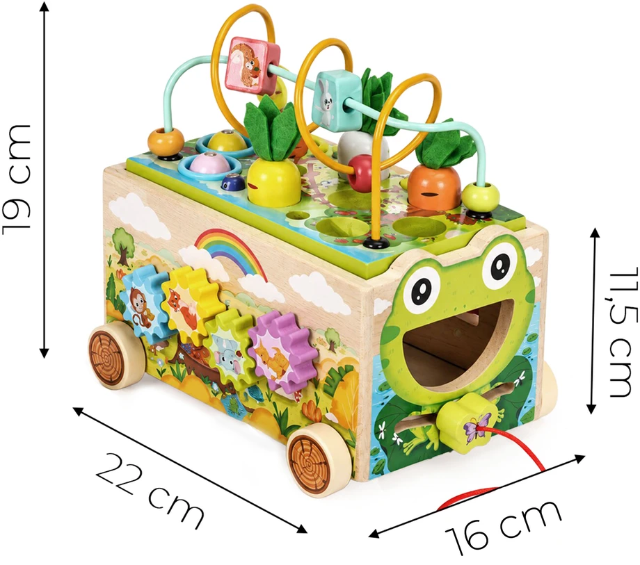 Medinis 8-in-1 varlės formos lavinamasis kubas su vaikštyne, formų rūšiuokliu, ksilofonu ir kirmėlių žvejyba ECOTOYS