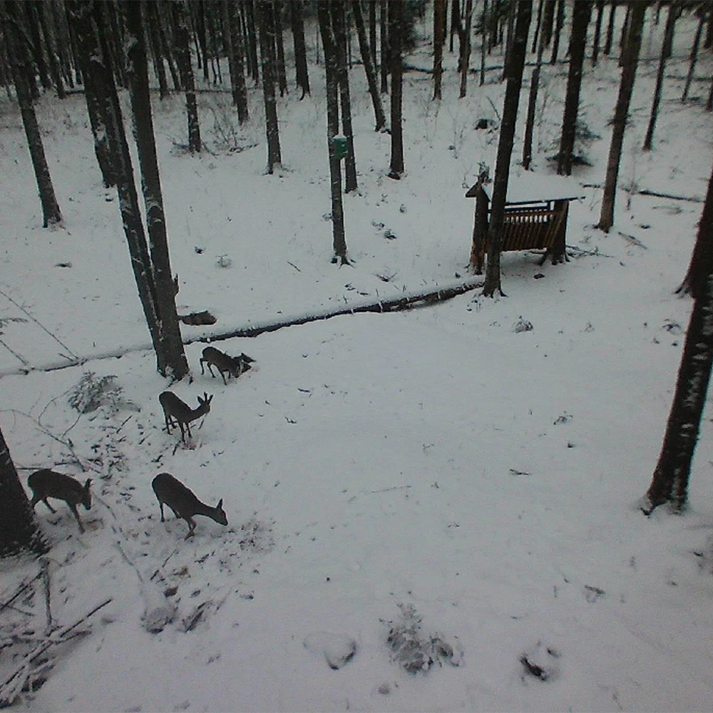 Medžioklės kamera PNI Hunting 400C 12MP su 4G LTE internetu, GPS, vaizdo ir nuotraukų siuntimu į telefoną, 4 el. pašto adresus, FTP, Full HD 1080P, naktiniu matymu, 57 nematomais šviesos diodais gyvūnams