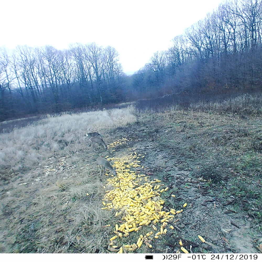 Medžioklės kamera PNI Hunting 400C 12MP su 4G LTE internetu, GPS, vaizdo ir nuotraukų siuntimu į telefoną, 4 el. pašto adresus, FTP, Full HD 1080P, naktiniu matymu, 57 nematomais šviesos diodais gyvūnams