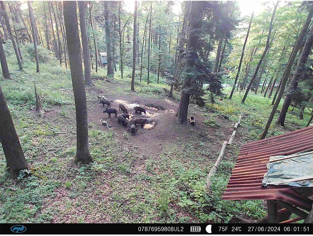 Medžioklės kamera PNI Hunting 480C PRO, 24MP, su 4G internetu, GPS, 60° matymo kampu