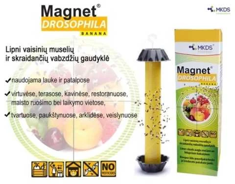 Mkds Lipni skraidančių vabzdžių gaudyklė MAGNET DROZOPHILA