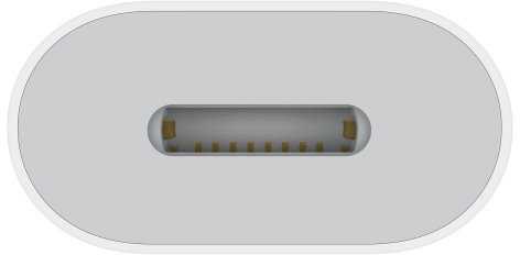 Apple USB-C to Lightning Adapter - MUQX3ZM/A