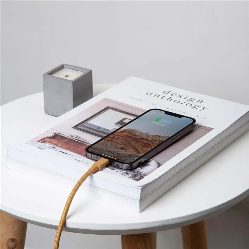 Native Union Juostinis maitinimo laidas (USB-C – Lightning) 3 m