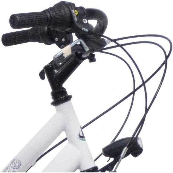 Nežinomas Dviratis miesto Good Bike Firenze City Lady, 28 "