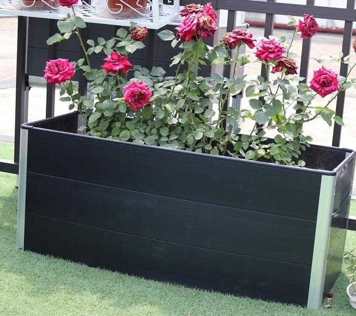 Nežinomas Pakelta lysvė, 800 mm x 600 mm x 680 mm