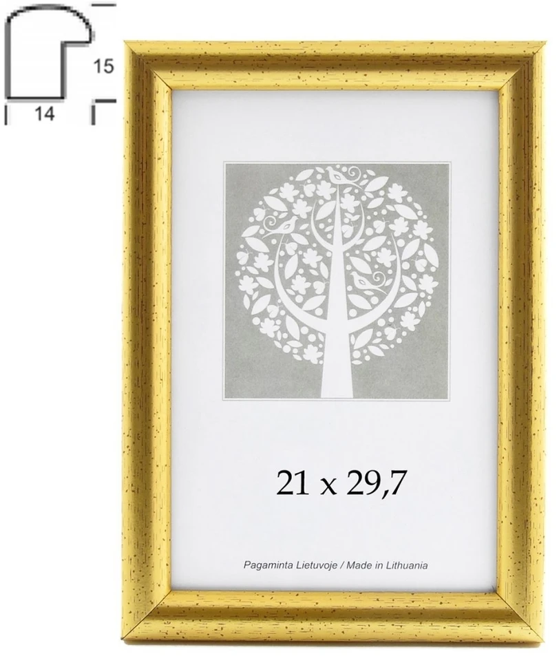 Savex Nuotraukų rėmelis, plastikinis, A4, 21x29,7 cm, aukso sp.
