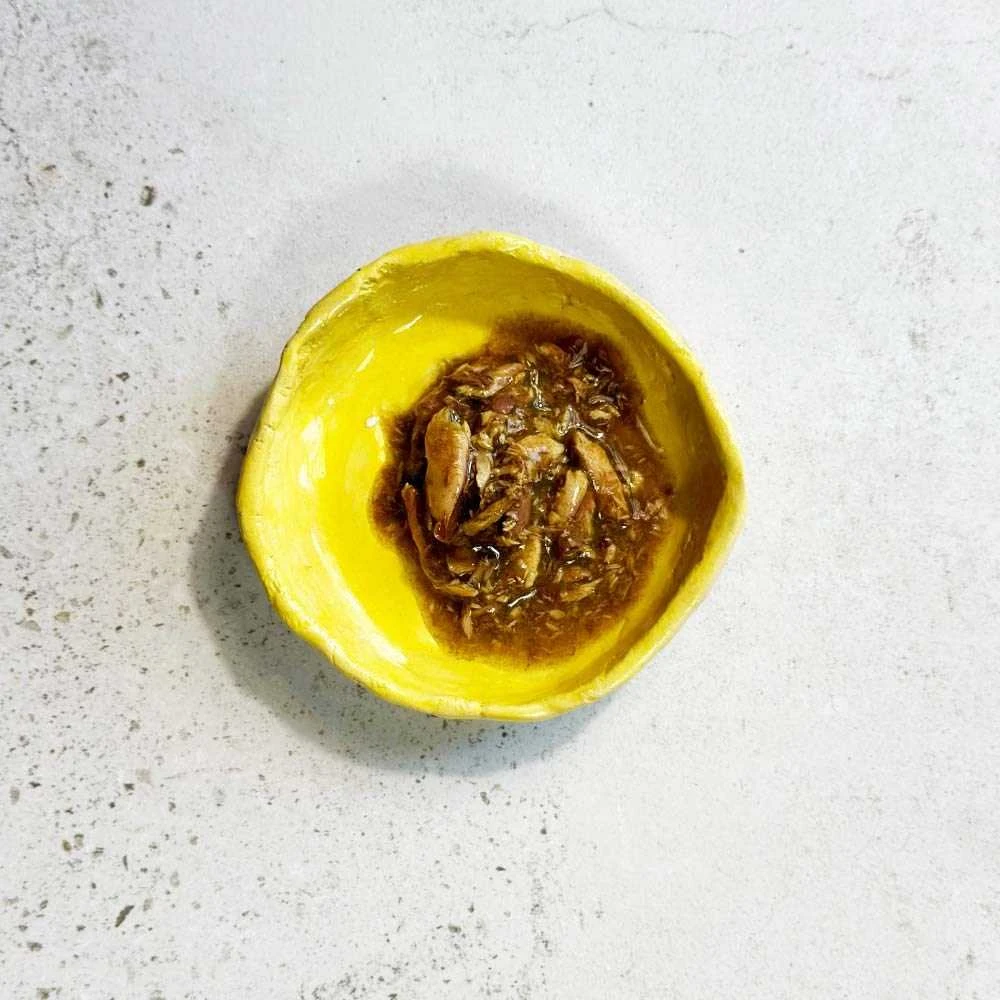 OLLO Cat nr 8 Tuna & Seaweed in broth – šlapias kačių maistas – 70g