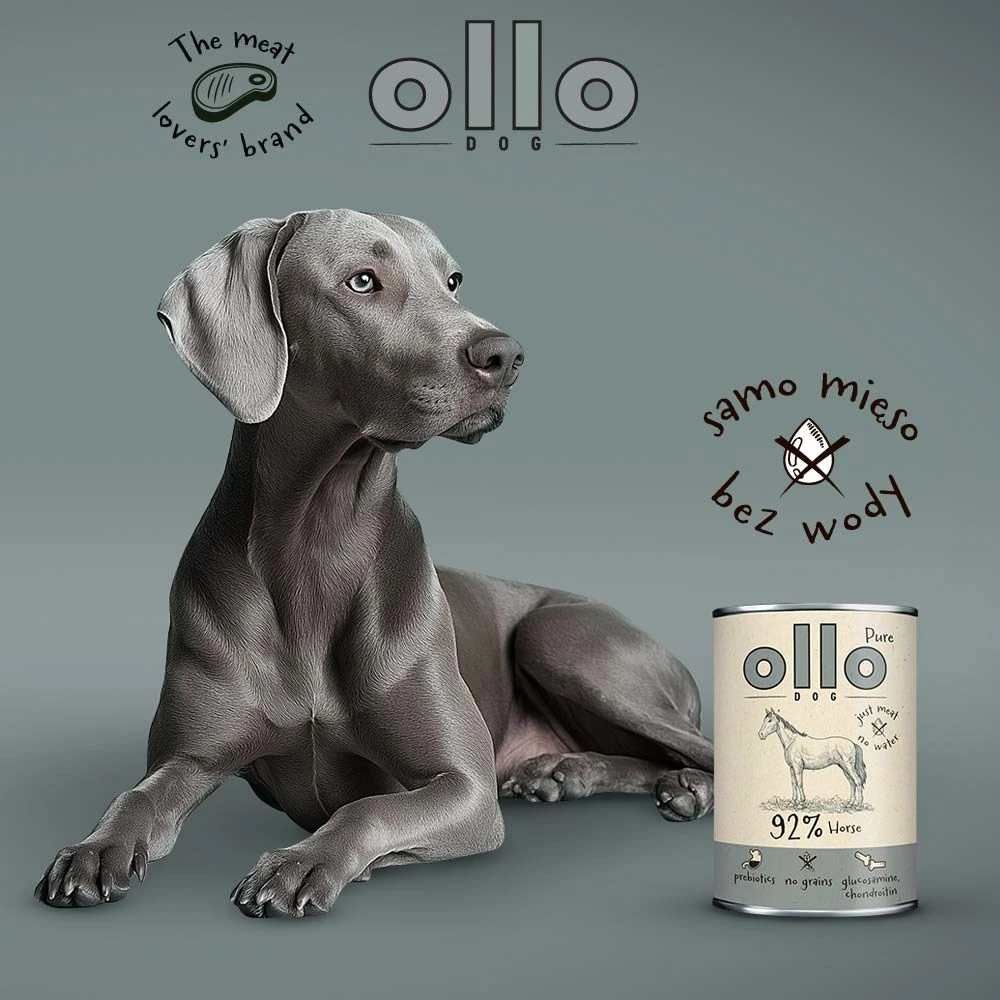 OLLO Pure Arklys Mono – šlapias šunų maistas – 850g