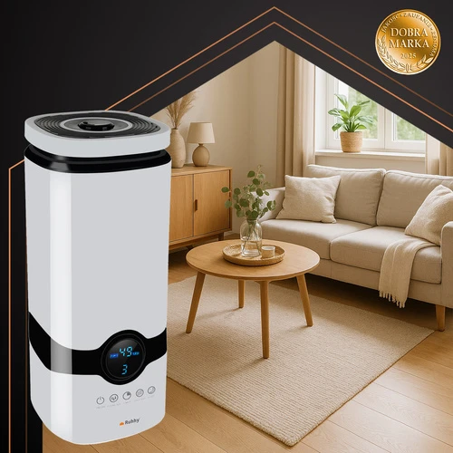 Oro drėkintuvas su aromaterapija Ruhhy 22739