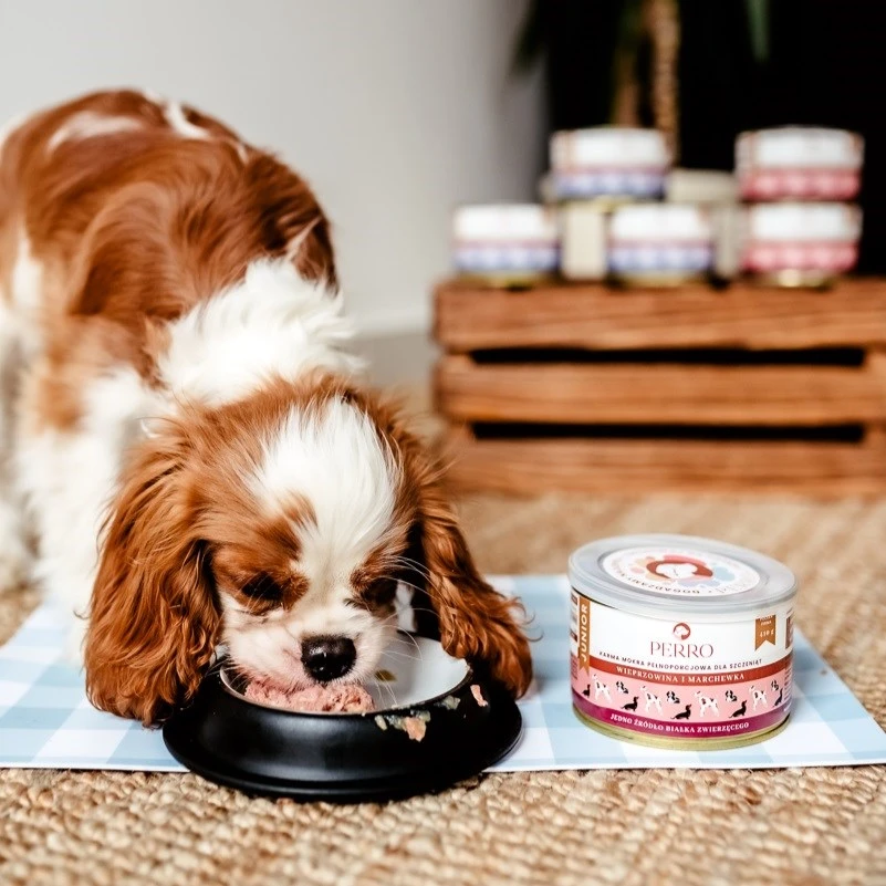 PERRO Junior Pork su morkomis - šlapias šunų maistas - 410g