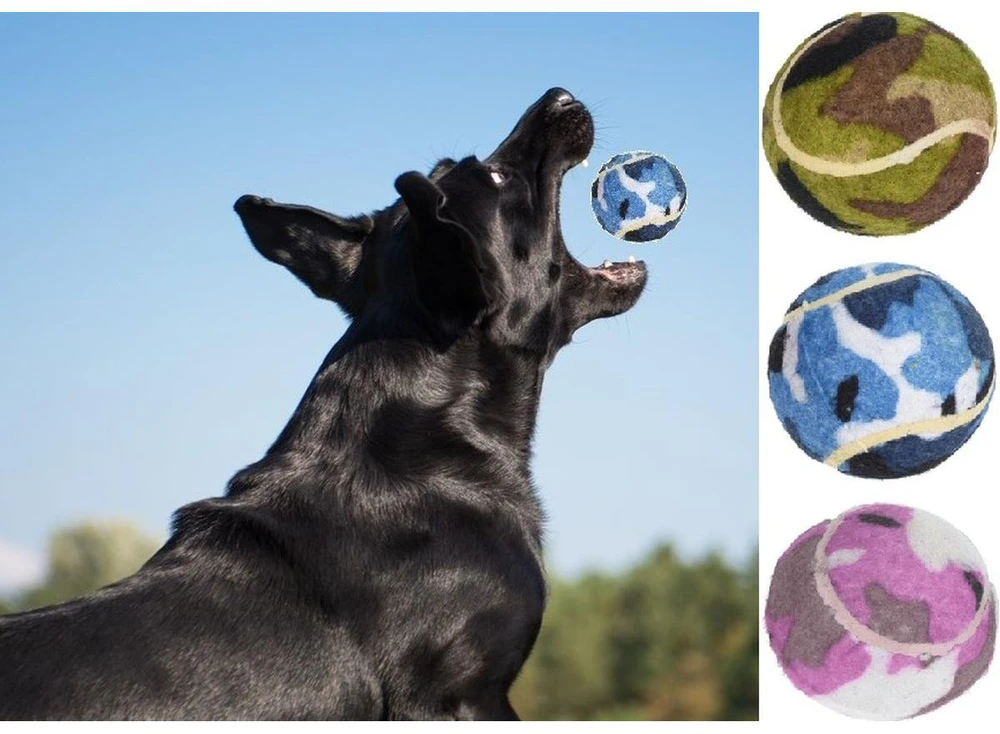 Pets Collection teniso kamuoliukai šunims 3 vnt
