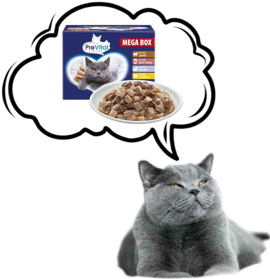 PREVITAL Cat Food Megabox su ėriena, jautiena, triušiena, and vištiena in Gravy - Wet Cat Food - 24 x 100g