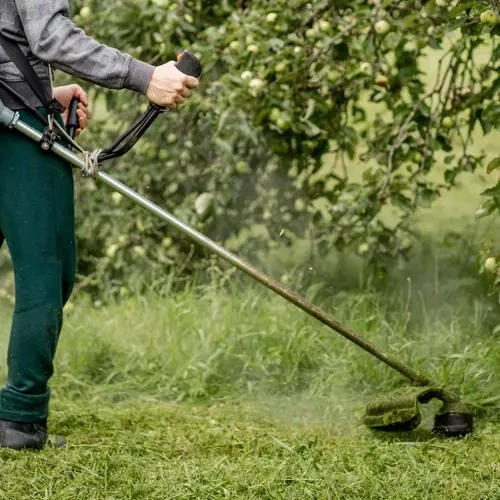 Bigstren Cutting line for Bigstreen 21073 petrol brushcutter