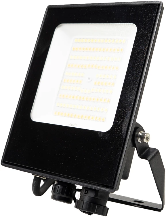 PNI GreenHouse LED prožektorius WS550NP 50W 230V maitinimo šaltinis, reguliuojama spalvų temperatūra (3000K, 4000K, 6500K), reguliuojamas šviesos intensyvumas