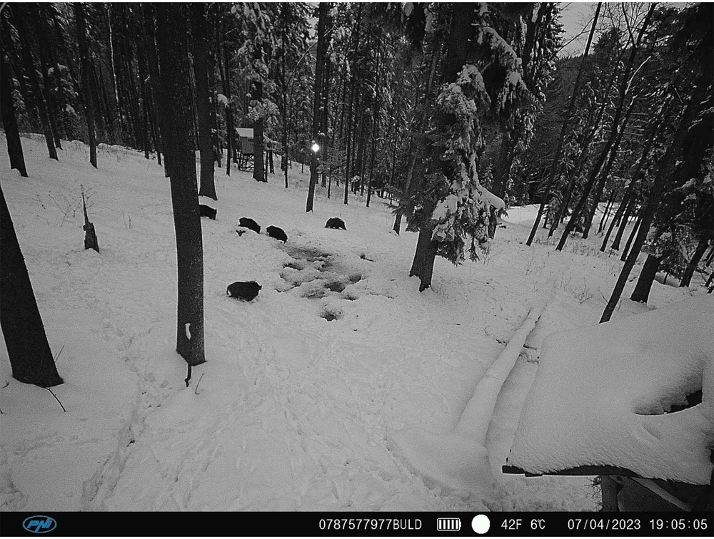 PNI Hunting 400C medžioklės kameros rinkinys su korpusu ir apsauginiu kabeliu, 7.2Ah baterija, maitinimo kabeliu