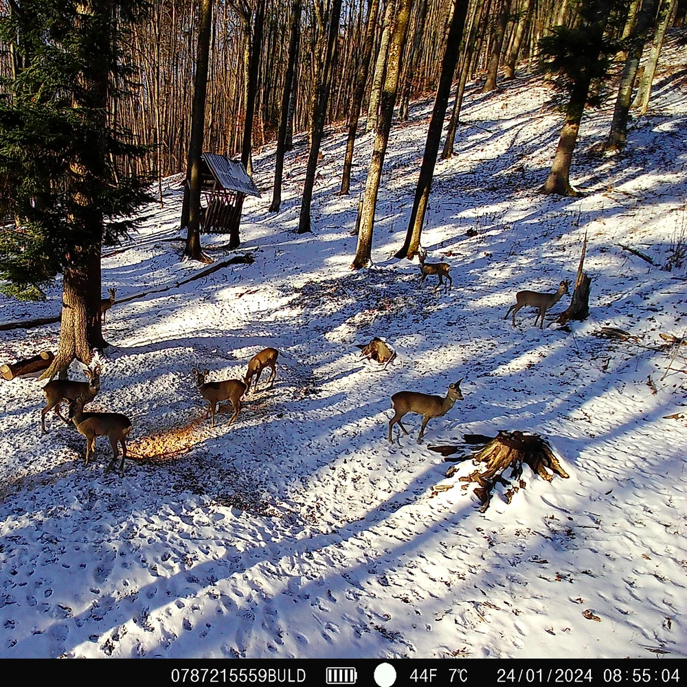 PNI Hunting 400C medžioklės kameros rinkinys su korpusu ir apsauginiu kabeliu, 7.2Ah baterija, maitinimo kabeliu
