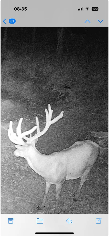 PNI Hunting 400C PRO 24MP medžioklės kamera su 4G LTE internetu, GPS, vienu metu perduoda vaizdo įrašus ir nuotraukas į telefoną, 4 el. pašto adresus, FTP, Full HD 1080P, naktinis matymas, 59 nematomi šviesos diodai gyvūnams