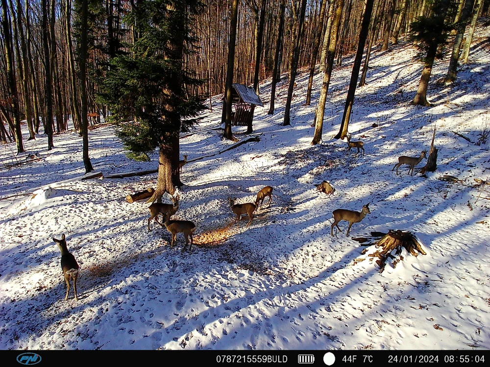 PNI Hunting 400C PRO 24MP medžioklės kamera su 4G LTE internetu, GPS, vienu metu perduoda vaizdo įrašus ir nuotraukas į telefoną, 4 el. pašto adresus, FTP, Full HD 1080P, naktinis matymas, 59 nematomi šviesos diodai gyvūnams