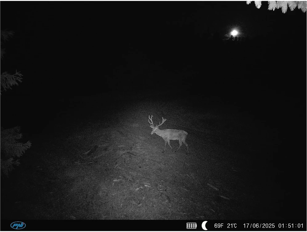 PNI Hunting 400C PRO 24MP medžioklės kamera su 4G LTE internetu, GPS, vienu metu perduoda vaizdo įrašus ir nuotraukas į telefoną, 4 el. pašto adresus, FTP, Full HD 1080P, naktinis matymas, 59 nematomi šviesos diodai gyvūnams