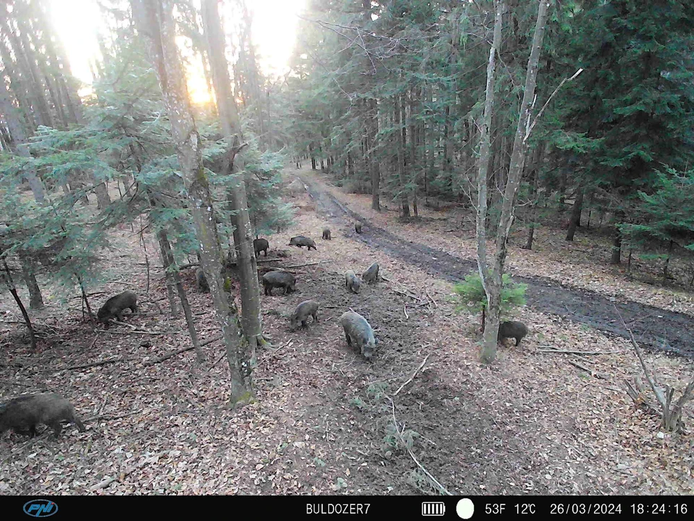 PNI Hunting 400C PRO 24MP medžioklės kamera su 4G LTE internetu, GPS, vienu metu perduoda vaizdo įrašus ir nuotraukas į telefoną, 4 el. pašto adresus, FTP, Full HD 1080P, naktinis matymas, 59 nematomi šviesos diodai gyvūnams