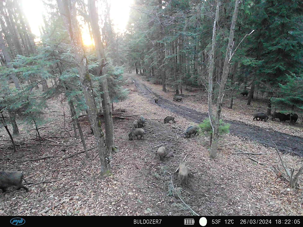 PNI Hunting 400C PRO 24MP medžioklės kamera su 4G LTE internetu, GPS, vienu metu perduoda vaizdo įrašus ir nuotraukas į telefoną, 4 el. pašto adresus, FTP, Full HD 1080P, naktinis matymas, 59 nematomi šviesos diodai gyvūnams