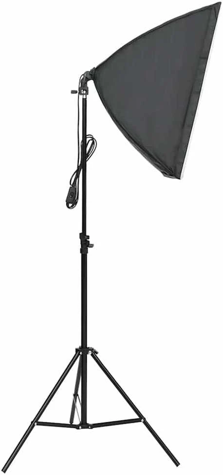 Profesionalūs fotostudijos šviestuvai, 2vnt., 40x60cm