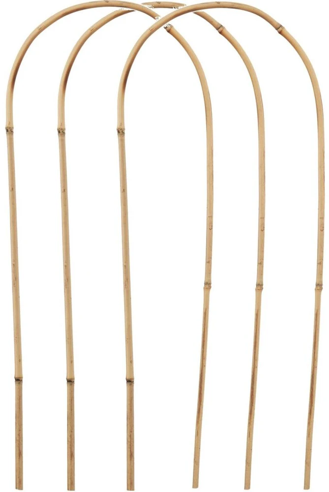 ProGarden Bambukinės augalų atramos 58 cm