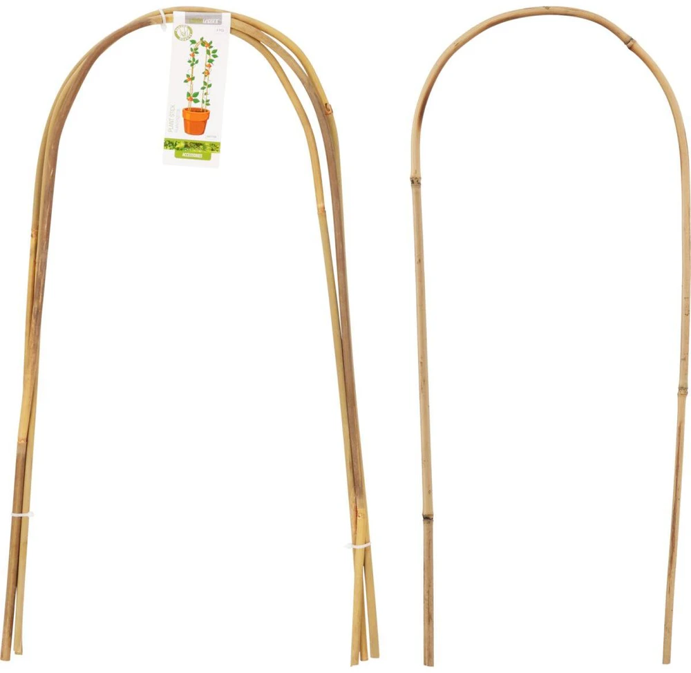 ProGarden Bambukinės augalų atramos 58 cm