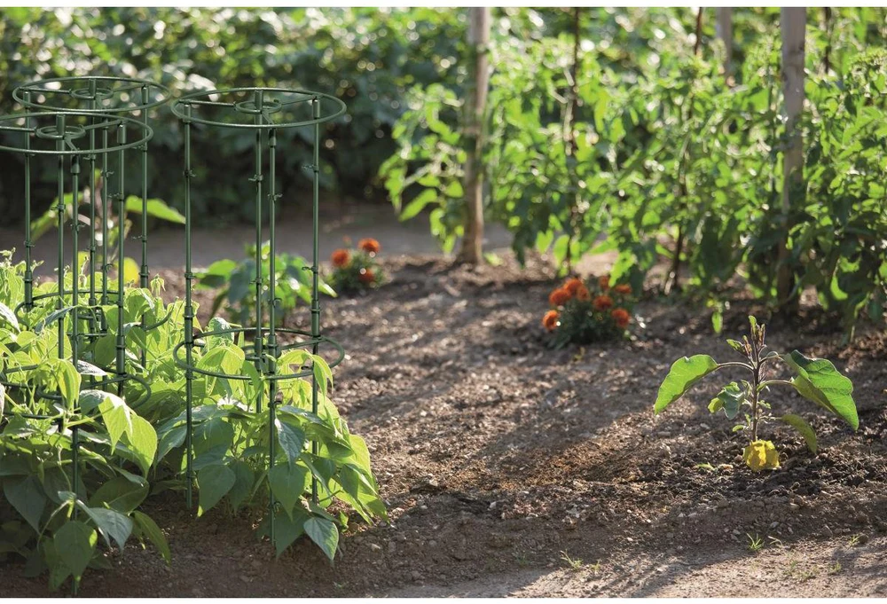 Prosperplast Augalų atramos 25 ir 35 cm miško žalia
