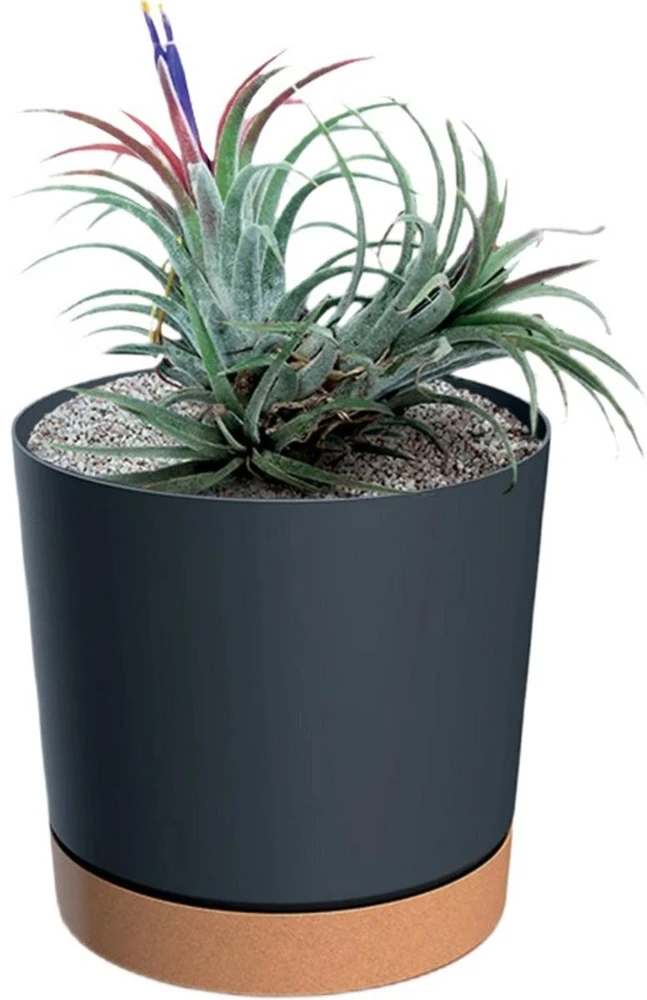 Prosperplast Cilindro formos antracitinė vazonėlis