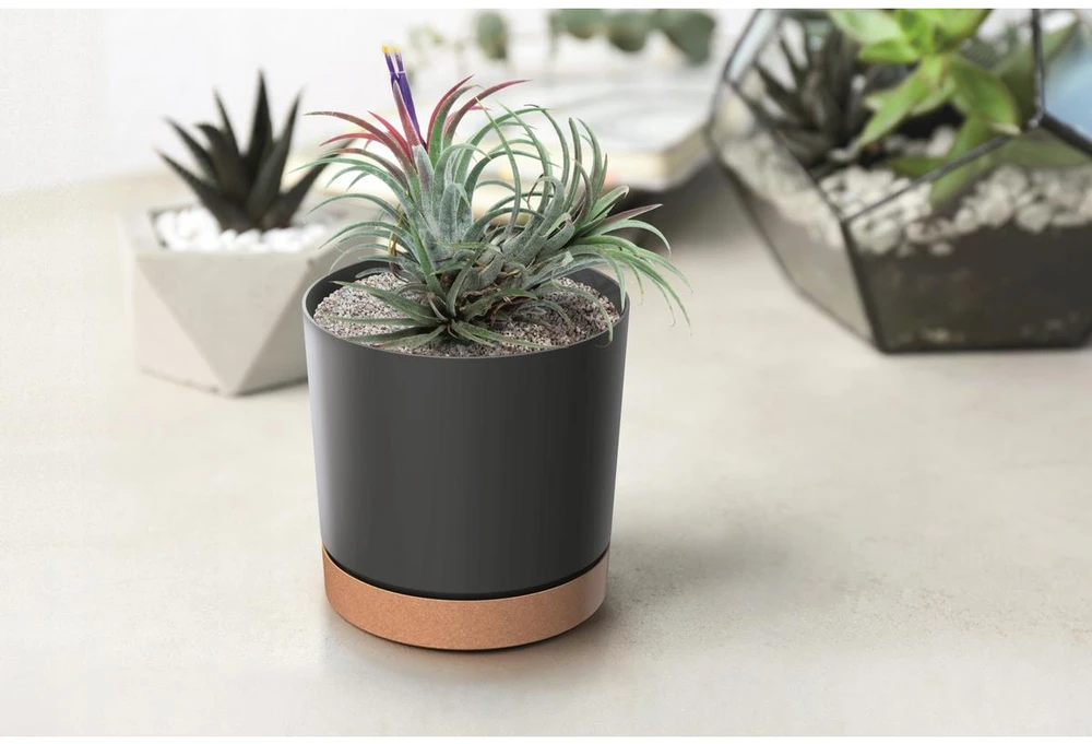 Prosperplast donicžė cilindrinė antracit 18 cm