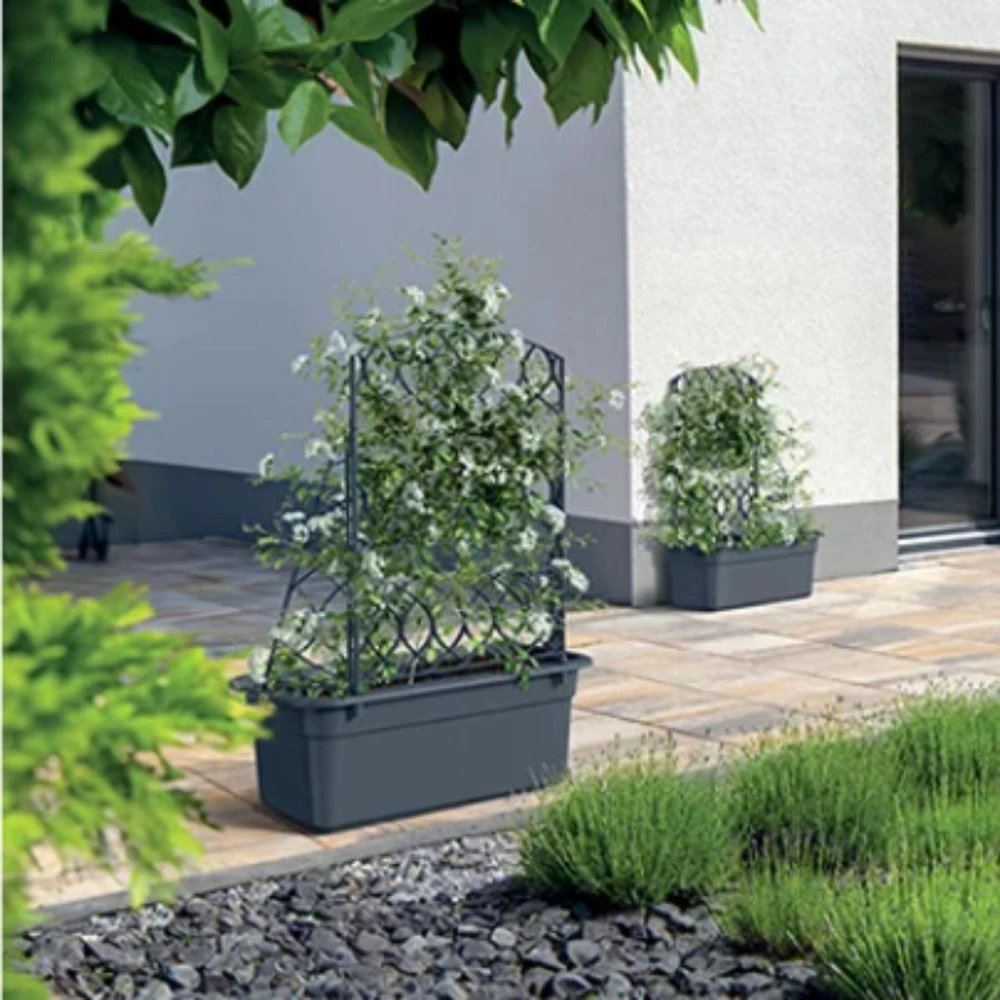 Prosperplast dėžutė su pergola Bloma pilka