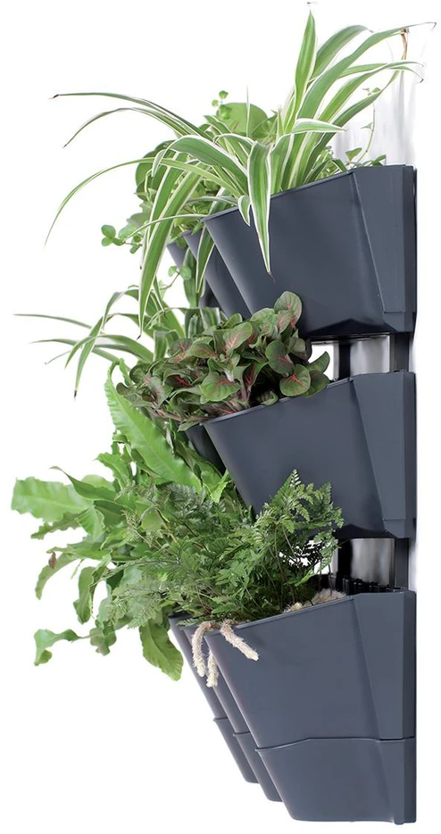 Prosperplast vertikalus kabinamas sodo stovas antracitas