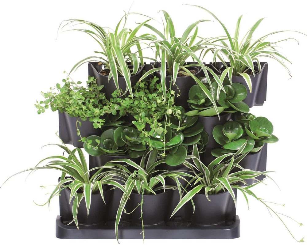 Vertikalūs sodo vazonai Prosperplast Cascade Garden IO2W600S-S433 55cm