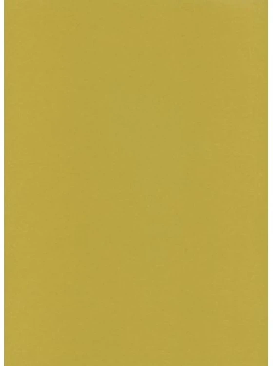 Protos Spalvotas lipnus popierius, A4, auksinės spalvos, 1 lapas