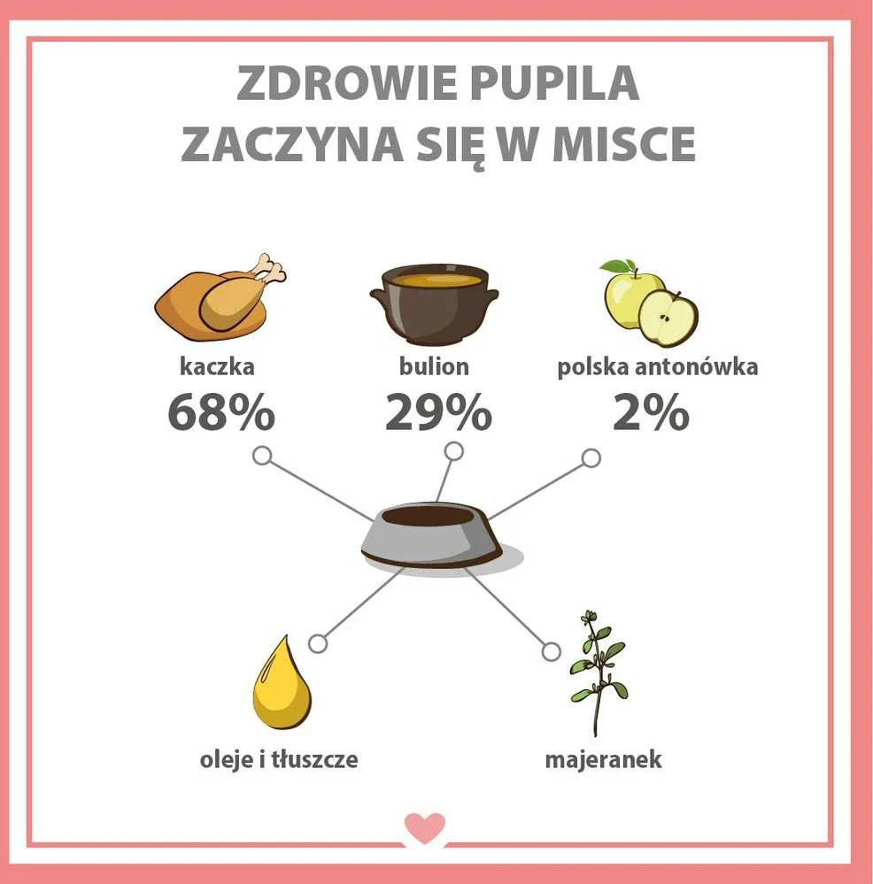 PUPIL Premium All Meat Gold antiena – drėgnas ėdalas šunims – 800g