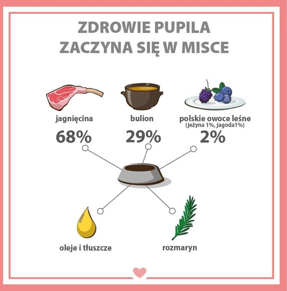 PUPIL Premium All Meat Gold Saddle of ėriena – drėgnas ėdalas šunims – 800g
