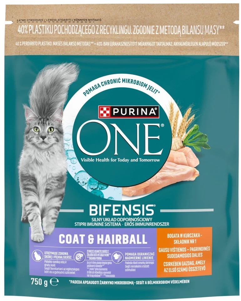 Purina Nestle One Bifensis Coat & Hairball Rich in vištiena – sausas kačių maistas – 750g