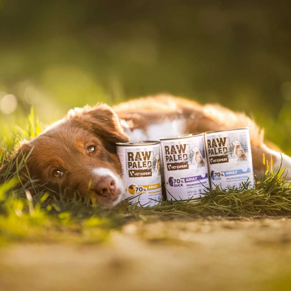 Vetexpert Drėgnas Šunų Maistas - RAW PALEO Monoproteinas Antiena 400g
