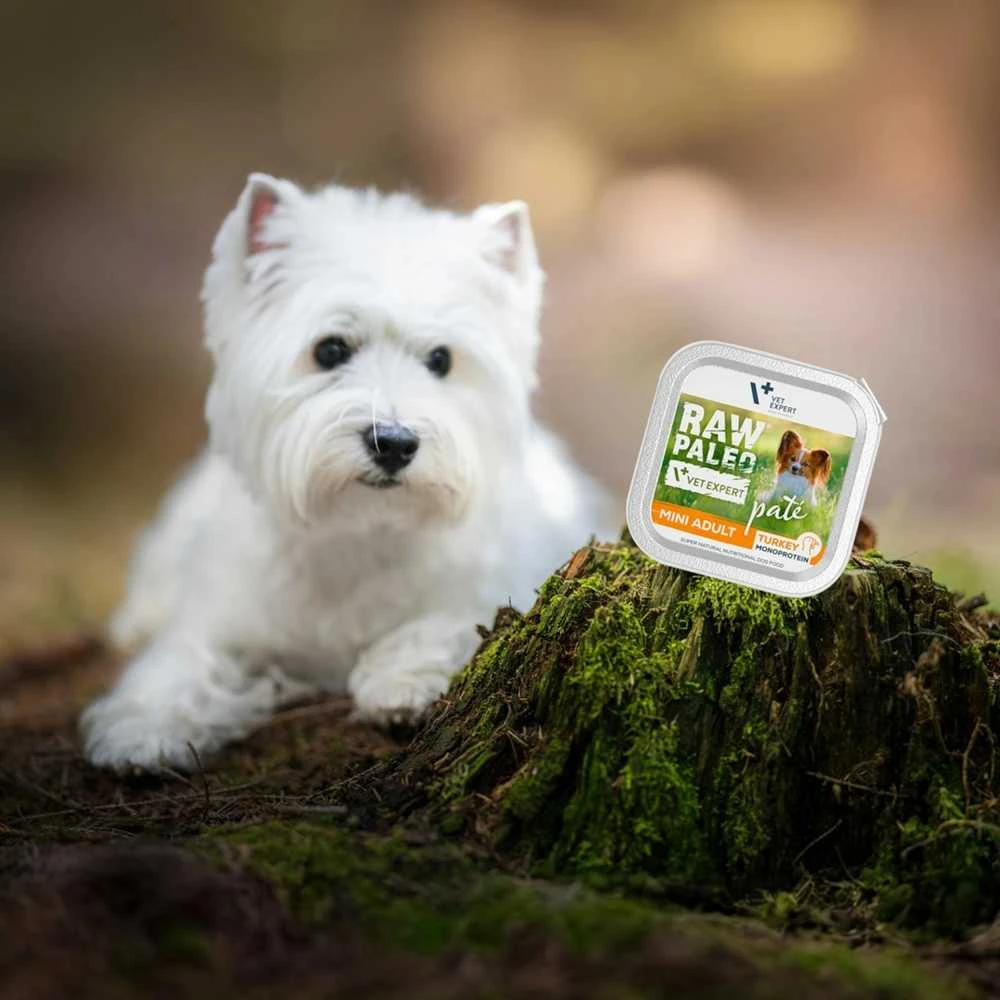 Vetexpert Drėgnas Šunų Maistas - RAW PALEO Mini Suaugusiųjų Jautiena 150 g