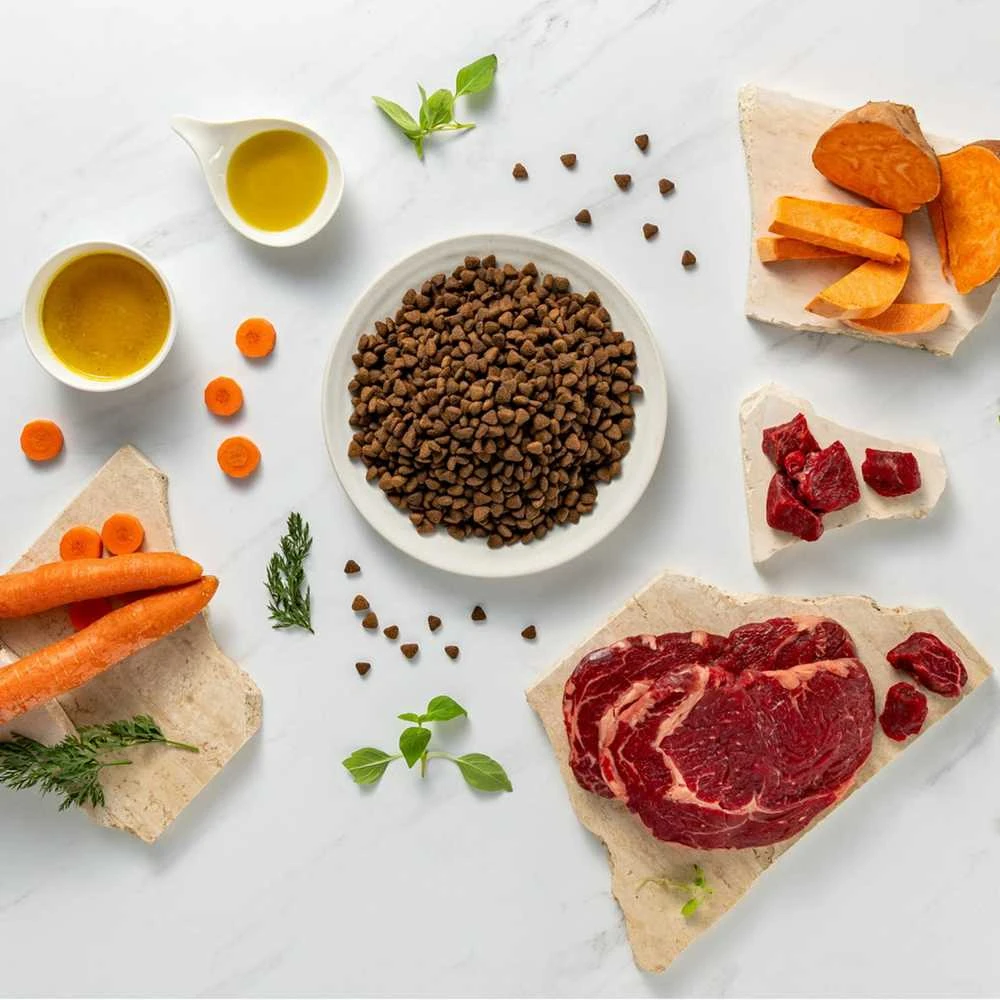Vetexpert Sausas Šunų Maistas - RAW PALEO Ultra Mini Jautiena 2kg