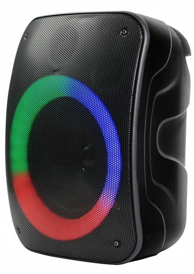 Rebeltec Bluetooth garsiakalbis STAGE 300 juodas