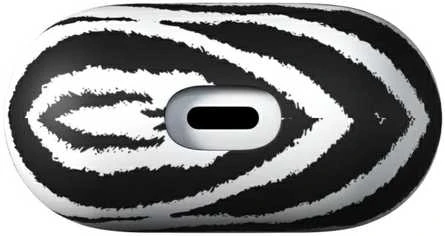 Richmond & Finch Airpod dėklas, Zebra