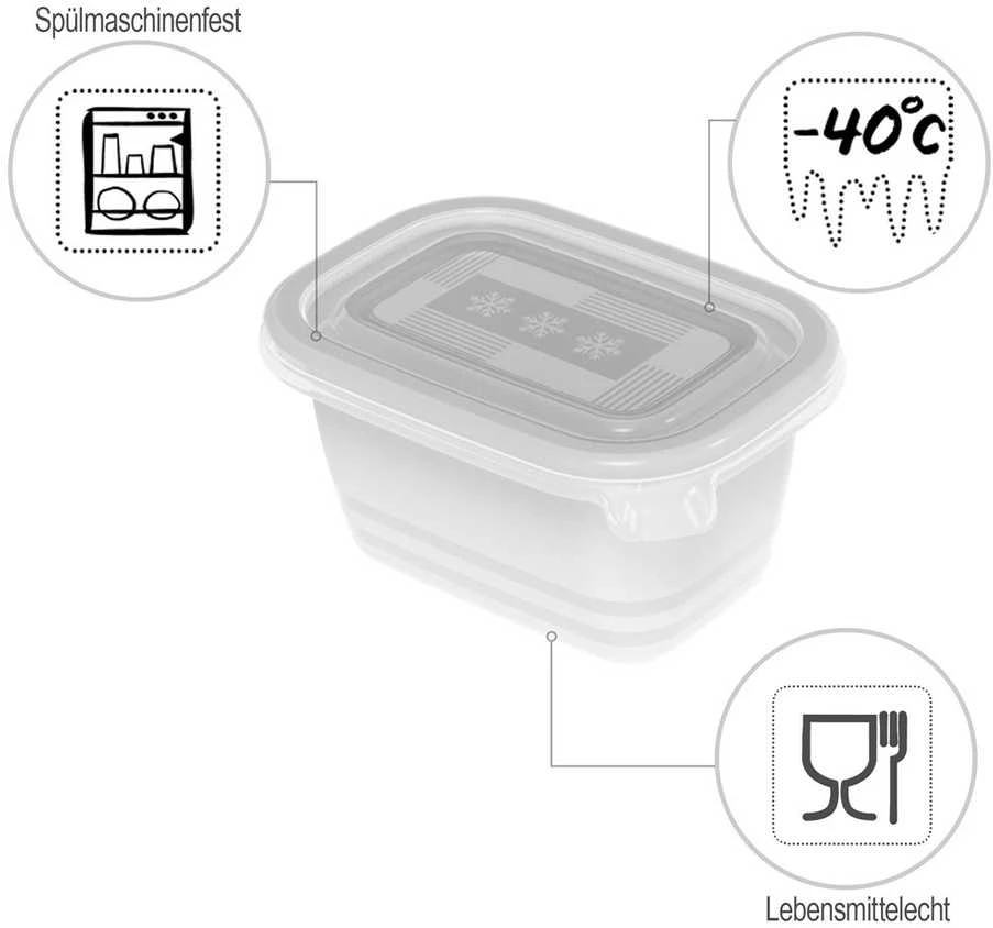 ROTHO Freeze - šaldiklis container - 6x250ml