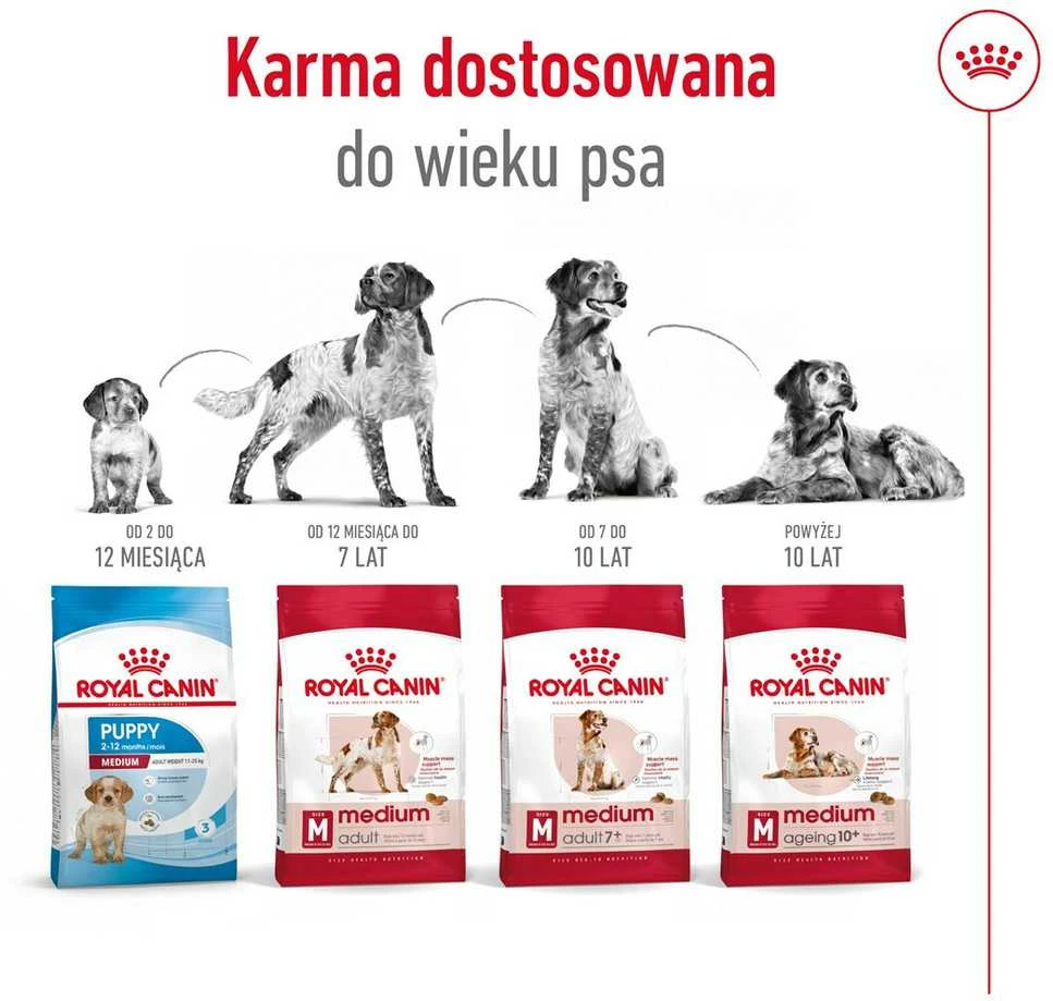 Royal Canin SHN vidutinio dydžio suaugusių šunų pašaras BF 4kg