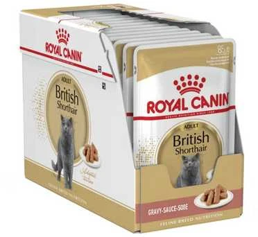 Royal Canin British Shorthair šlapias maistas katėms, 12 x 85 g